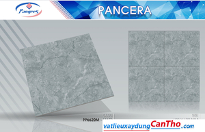 Pancera PP 6620